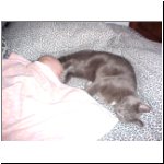 02-12-29_03__VB2 + Kitty.jpg